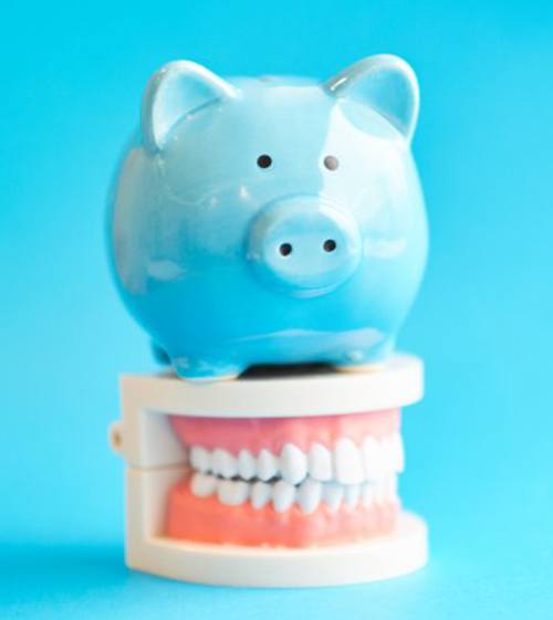 blue piggy bank sitting on top of a set of dentures in North Grafton 