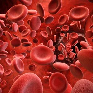 Illustration of blood platelets traveling through blood vessel